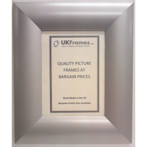 65mm Dome Silver Frames